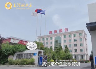【大河财立方】绿色智造新质未来-新乡振动向新力