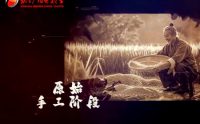 【新乡广播电视台】“振”机焕新 巧“筛”艺